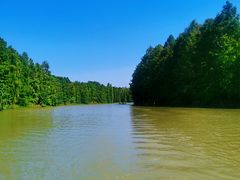 -上海海湾国家森林公园