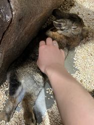 -Zoolung Zoolung动物主题公园(海信广场店)