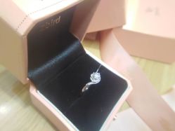 -钻石小鸟钻戒婚戒定制(石路店)