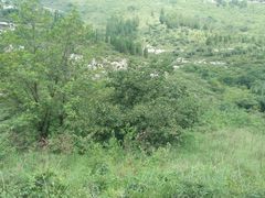 -锦屏山旅游度假区