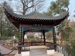 -月湖风景区