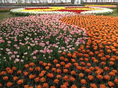 IMG_0422-上海鲜花港