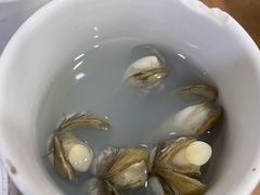 -广达眼镜炖罐(广达店)