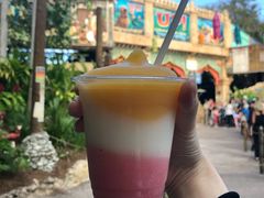 -奥兰多迪士尼动物王国乐园