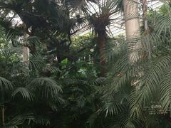 android_upload_pic-龙达温泉生态城
