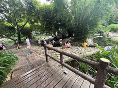 -成都市活水公园