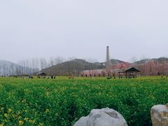 -西海岸生态观光园