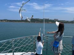 -海驴岛(荣成市)
