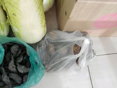 -乐乐鲜果水果超市(河北店)