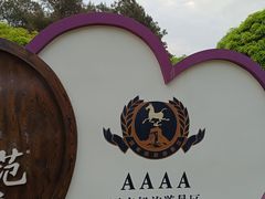 -铁山坪森林公园