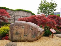 -嘉定紫藤园