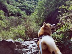 -双龙峡