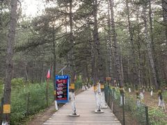 -帽儿山国家森林公园