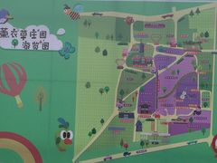 -曲江薰衣草庄园