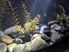 -上海海洋水族馆