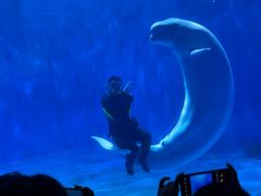 -多彩贵州城极地海洋世界