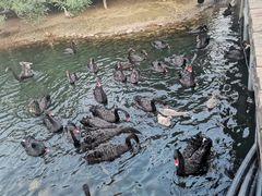 -长白岛森林公园