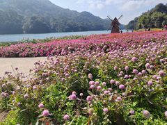 -广州市石门国家森林公园