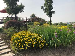 -洪湖湿地生态园