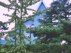-八大关景区