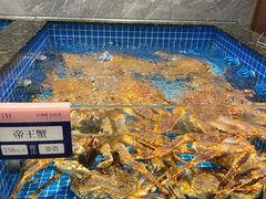 -海月轩海鲜豆捞(紫金塔店)