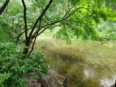 -杭州半山国家森林公园