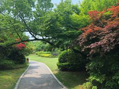 -桃花岛景观公园