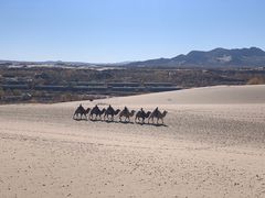 -玉龙沙湖景区