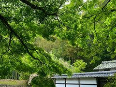 -奈良公园
