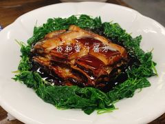 -协和菜馆(凤凰街店)