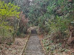 -桃花岭景区