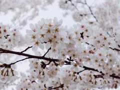 -江南大学(蠡湖校区)