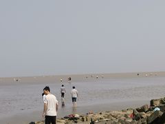 -南汇嘴观海公园