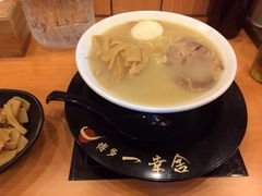 博多一幸舍(侨福芳草地店)-博多一幸舍(侨福芳草地购物中心店)