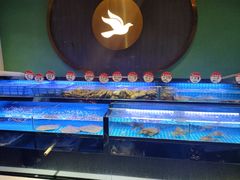 水产区-鸽子侯·家宴·平价海鲜(市图书馆店)