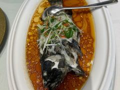 -老洋房花园饭店(绍兴路店)