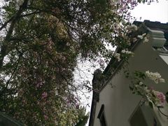 -深圳国际园林花卉博览园