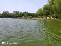 -济南大明湖景区