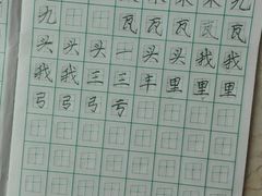 -赵汝飞练字(南京路国际贸易中心校区)