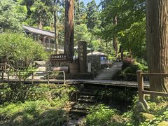 -东天目山风景区