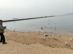 -青岛第二海水浴场