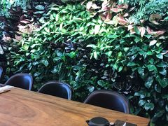 -森味薪火烧•烧鸟居酒屋•日本料理(望京店)