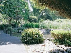 -成都市活水公园
