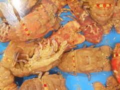 -吴记富苑(朝阳店)