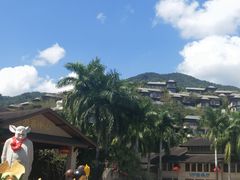 -呀诺达热带雨林