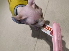 -藏猫猫咖啡主题馆(中央大道店)