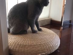-Catmate·猫肥家润(金润铂宫店)