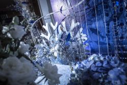 -曼格纳婚礼艺术中心(张江店)