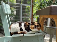 -谷咖啡·鲜花绿植花园餐厅