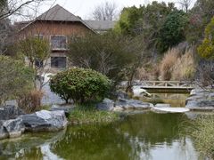 -上海吴淞炮台湾国家湿地公园